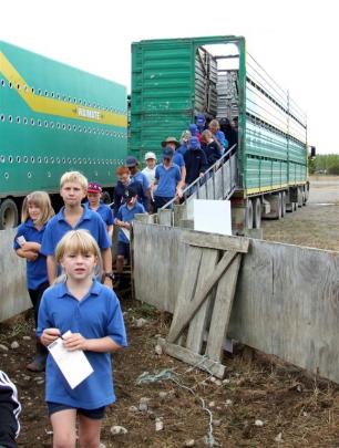 Ebony Scobie (8) and fellow pupils from Omarama School were shown through a stock truck at the...