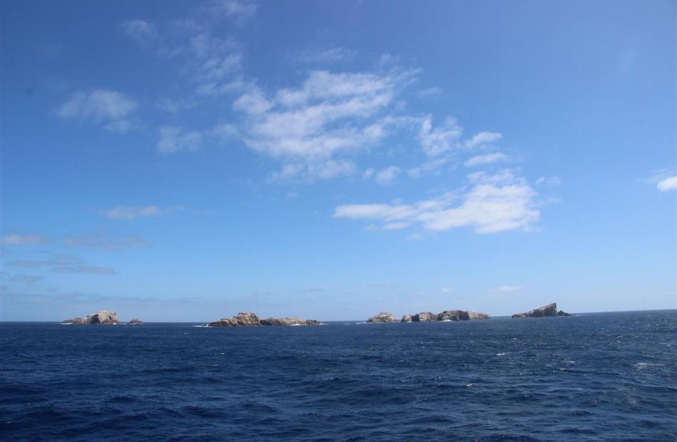 Tips of an old granite landmass, the Bounty Islands. Photo by Neville Peat.