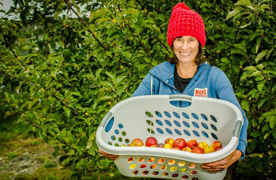 Gina Dempster rescues apples for the chutney pot. Photo by Si Williams.