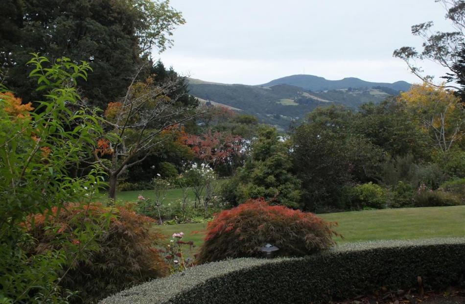 From the cafe terrace, there are views across Otago Harbour towards Mt Cargill.