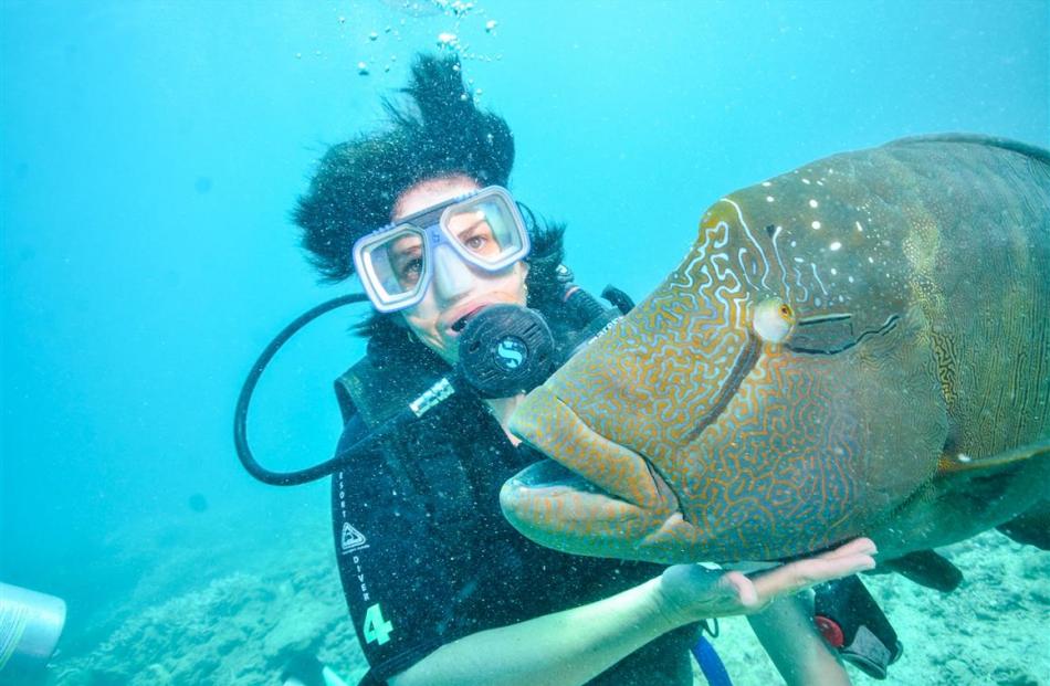 Reef fish are surprisingly friendly towards visitors. PHOTO: ELISABETH EASTHER