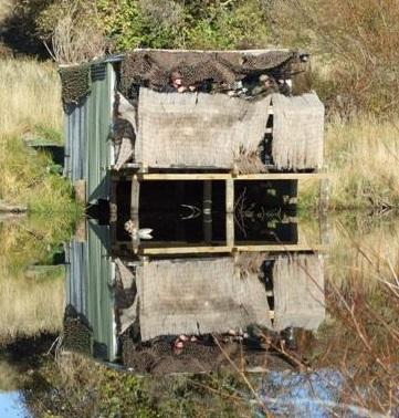 An estimated 30,000 hunters, some using maimais, were out this morning. Photo: ODT files