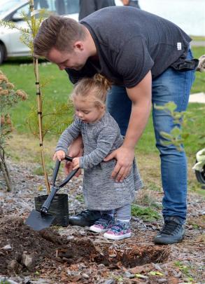 Tim Moore helps his daughter, Harper, plant a tree during an annual Keep Dunedin Beautiful tree...