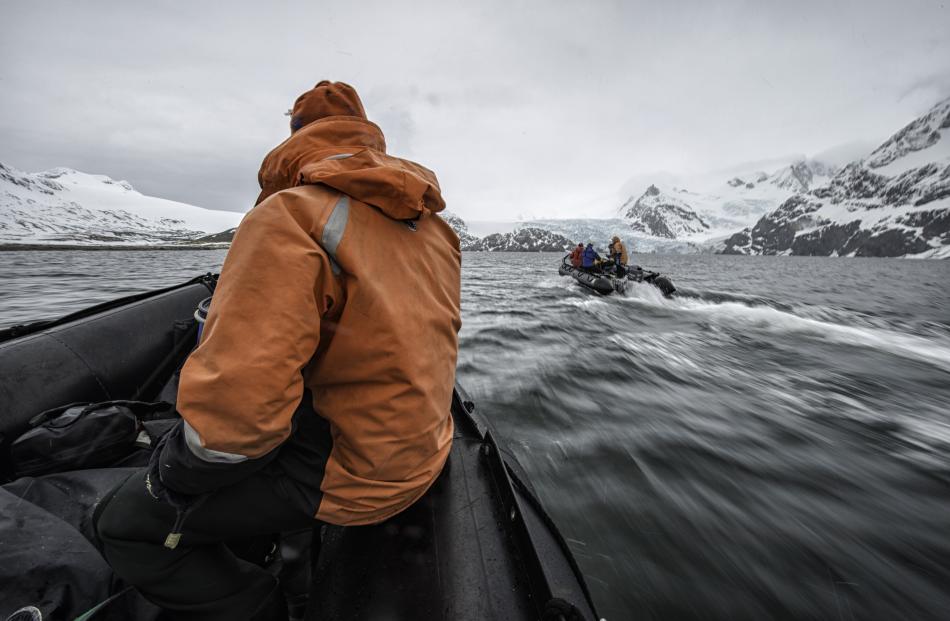 The team boats into King Haakon Bay in zodiacs. PHOTO: ROB STIMPSON