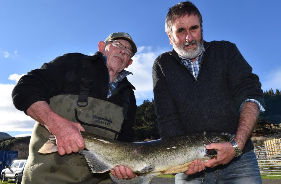 Sawyers Bay Salmon Hatchery manager Roger Bartlett (left) and Dunedin Community Salmon Trust...