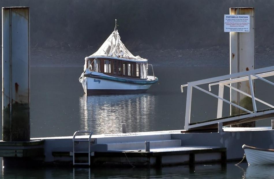 Elsie Evans, covered in anti-bird netting,  moored at Portobello this week. Photos by Peter...