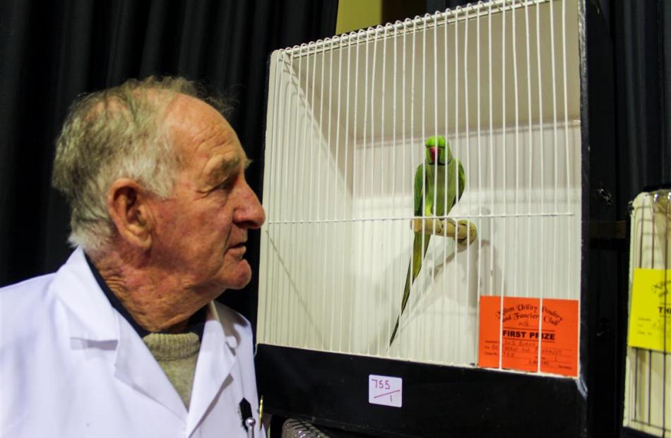 South Island Poultry Pigeon and Cage Bird Association president Robin Thompson with one of the...