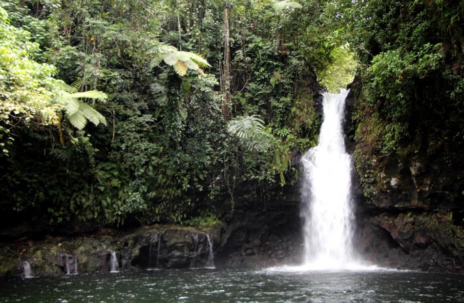 A spring feeds the refreshing waters of the idyllic Afa-a-Au waterfall.