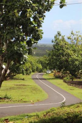 Savai’i’s narrow main highway widens through the north coast countryside.