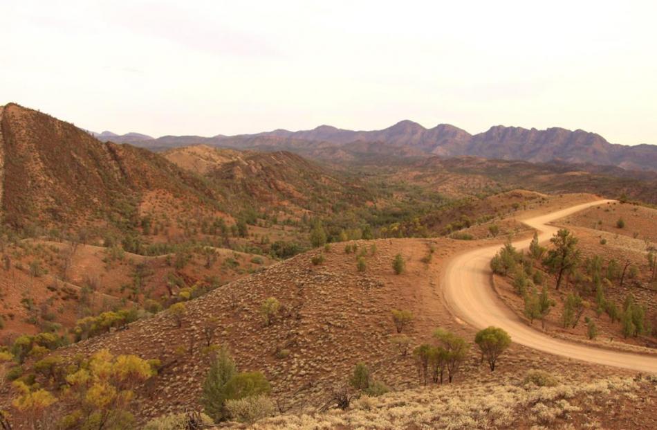 Bunraroo Rd leads deeper into the Flinders Ranges. Photo: Tourism Australia