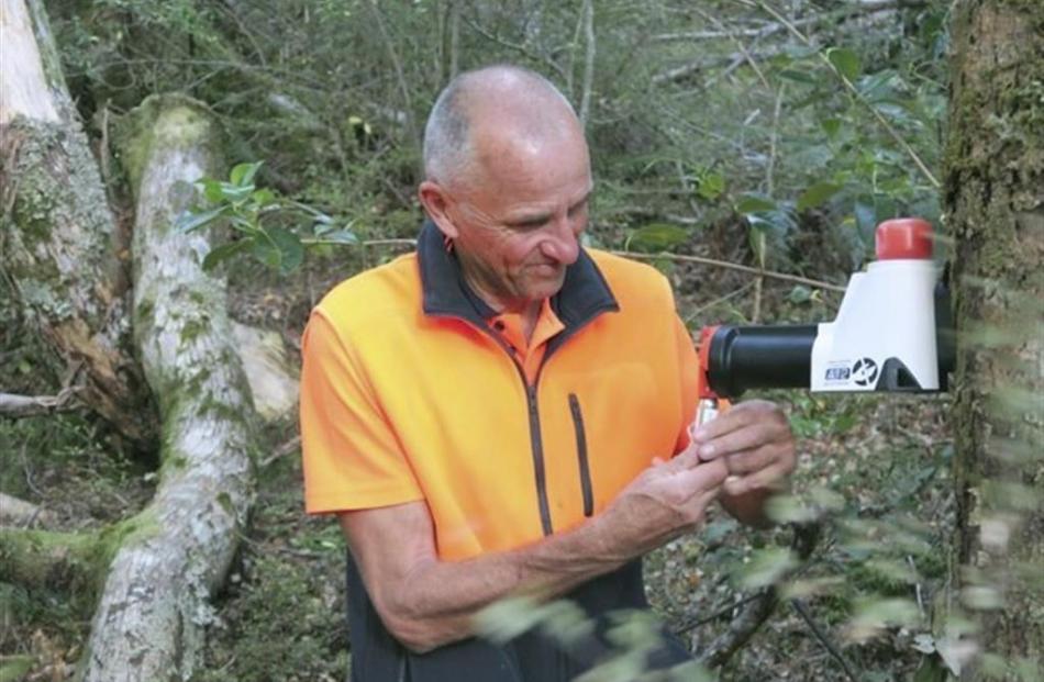 Paul Hellebrekers installs a  trap in the  valley.