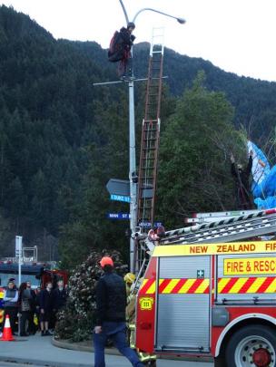 A paraglider pilot waits to be rescued from a streetlight pole in downtown Queenstown yesterday....