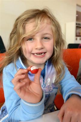 Dunedin girl Paige Hughes (7) helps stick numbers to giant jaffas at Toitu Otago Settlers Museum...