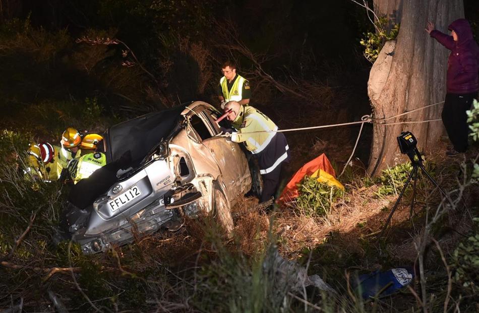 Photo by Peter McIntosh.