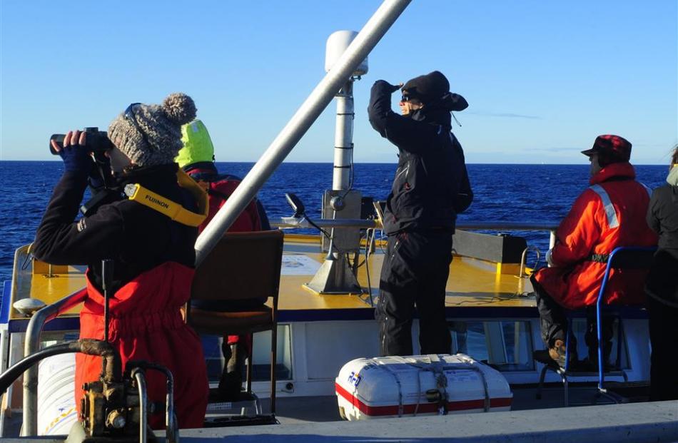 Dunedin ornithologist and consultant Graham Parker (centre)  observes Shepherd’s beaked whales...