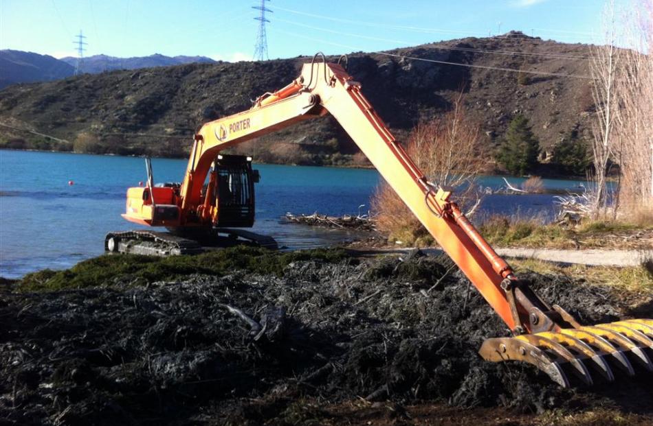 An excavator dumps weeds raked out of Lake Dunstan on Friday. Photo supplied.