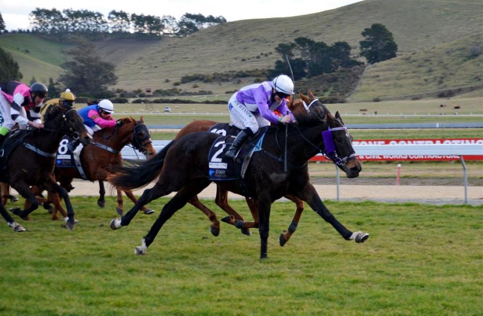 Miss Three Stars, in the hands of jockey Samantha Wynne, gallops past Amun Ra to win the $30,000...