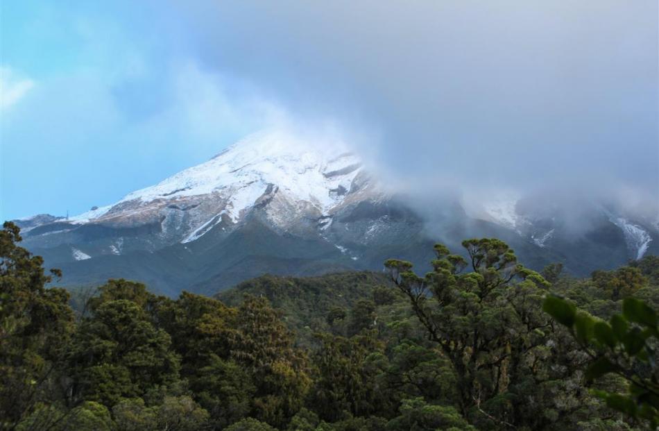 Mt Taranaki makes a quick appearance from behind the clouds as we walked along the Kaiauai Track....