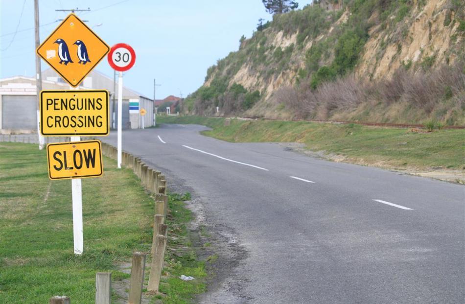 The signs warning of penguins crossing in the Oamaru Harbour area.