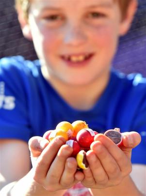 Tyler Lornie (10), of Balclutha, collects some of the race-worn Jaffas.