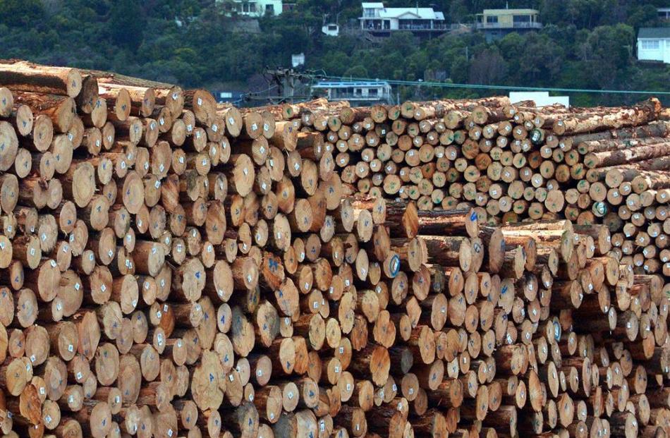 Logs have defied expectations of a fall in prices. Photo by Gerard O'Brien.