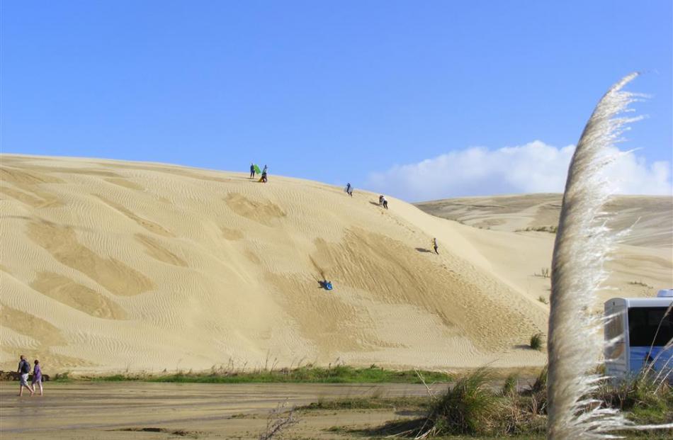 The Te Paki sand dunes, at the north end of Ninety Mile Beach, host prone sand-boarding, with...