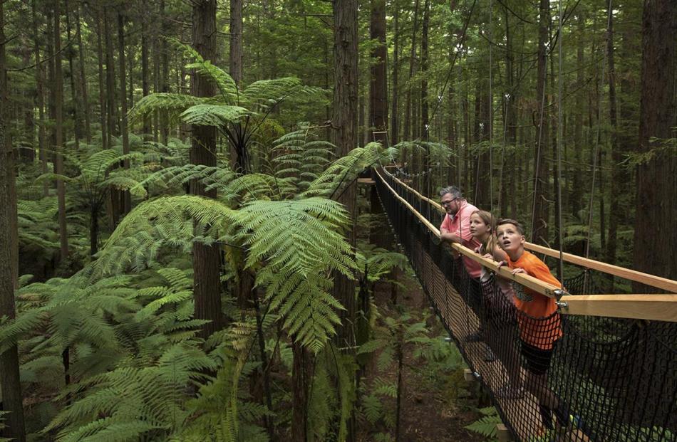 A family gazes at the surroundings on the Redwoods Treewalk in Rotorua. PHOTO: SUPPLIED