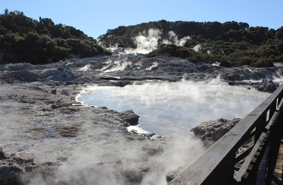 The steaming pools at the Hell’s Gate geothermal site. PHOTO: JONO EDWARDS