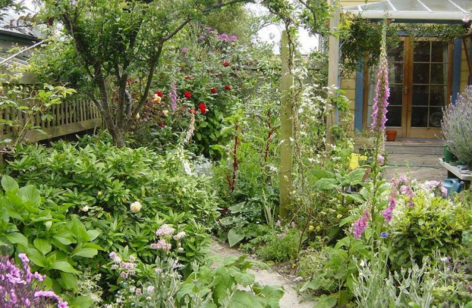 A look into Janice Marriott's garden.