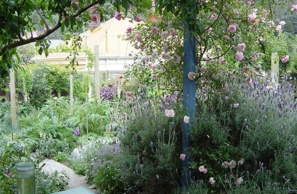 A look into Janice Marriott's garden.