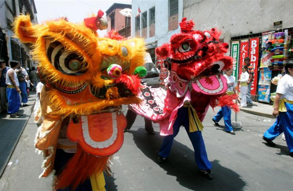 Two Chinese Lions perform during the celebrations of the Chinese New Year in Lima,Peru. Photo...