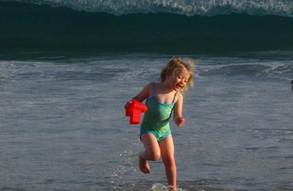Charlotte Barker (4), of Dunedin, heads for dry land, chased by a breaking wave at St Clair beach...