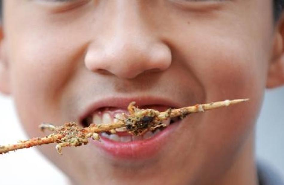 Deep fried scorpions from the Donghuamen night markets make a crunchy treat for the brave.