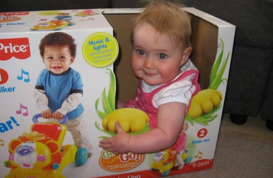 Eight-month-old Tilly Ruthven, of Mosgiel, had almost as much fun on Christmas Day playing in the...