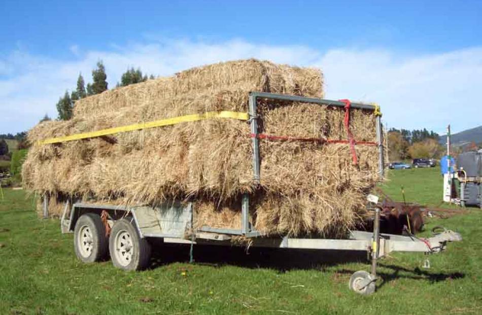 A trailer load of hay bales entered in the clearing sale auction.