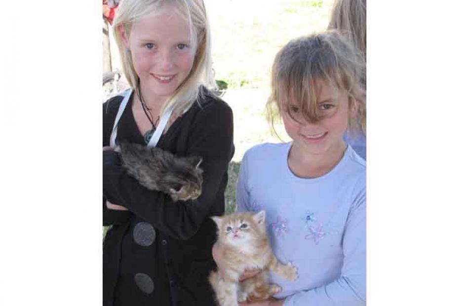 Renee Spencer (7), of Arrowtown, left and Cassidy Stewart (7),  of Queenstown with two kittens...