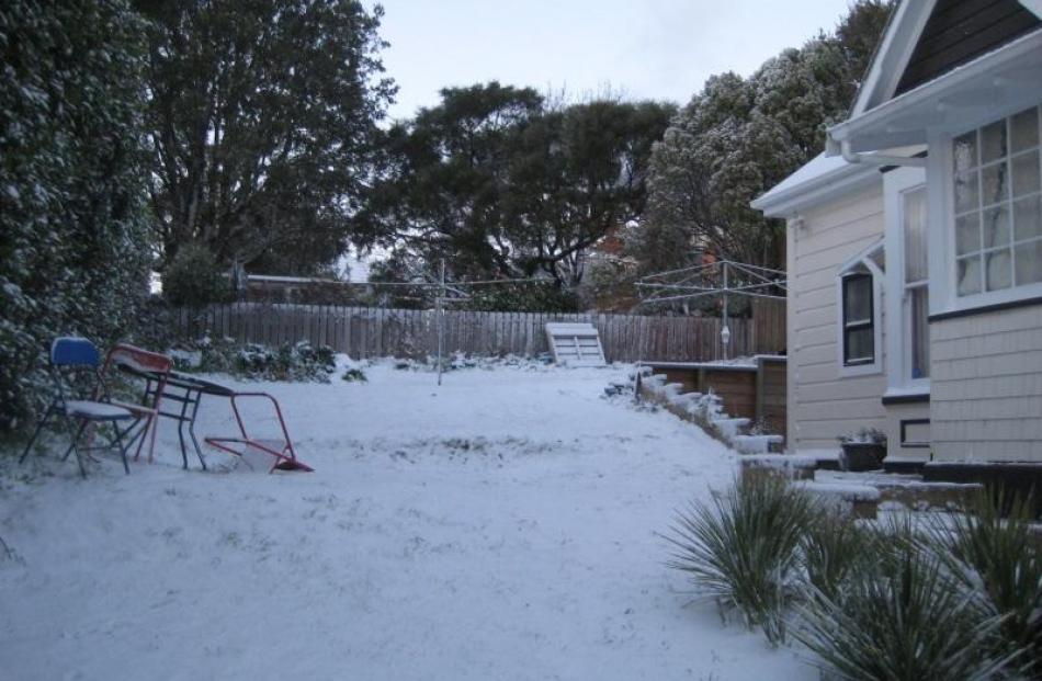 Photos taken in Ann Street, Roslyn, by Blair Hughson