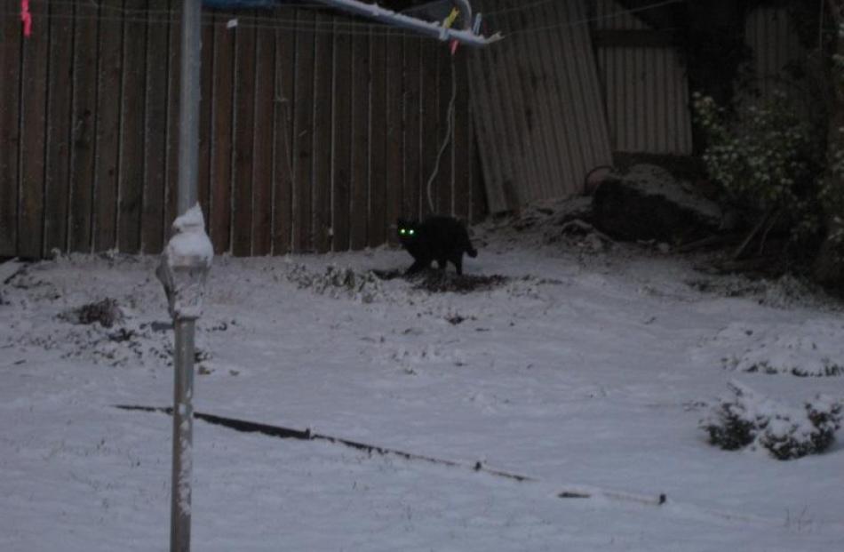 Photos taken in Ann Street, Roslyn, by Blair Hughson
