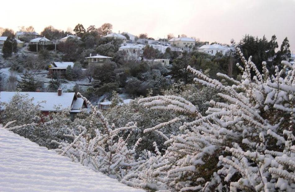 The snow this morning from our house in Leckhampton Court, Dunedin. Grant Musto