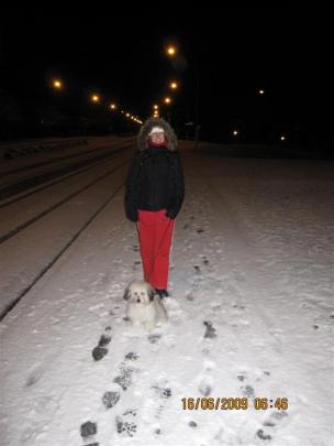 We live at the top of Brockville. Perfect day for a walk, this is our dog’s first experience of...