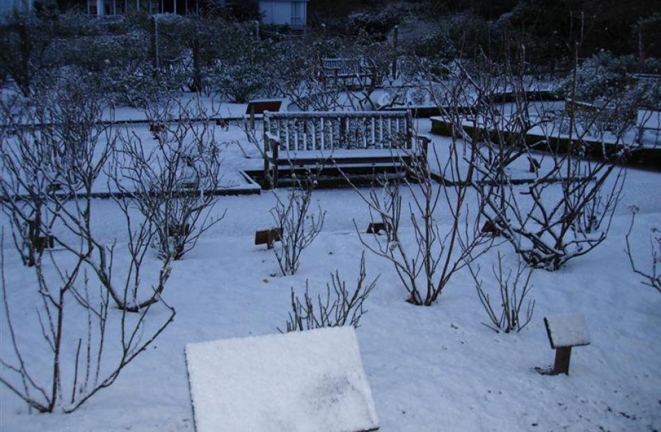 Campus area under snow. Sandro Carnicelli-Filho
