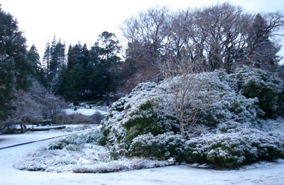 Campus area under snow. Sandro Carnicelli-Filho