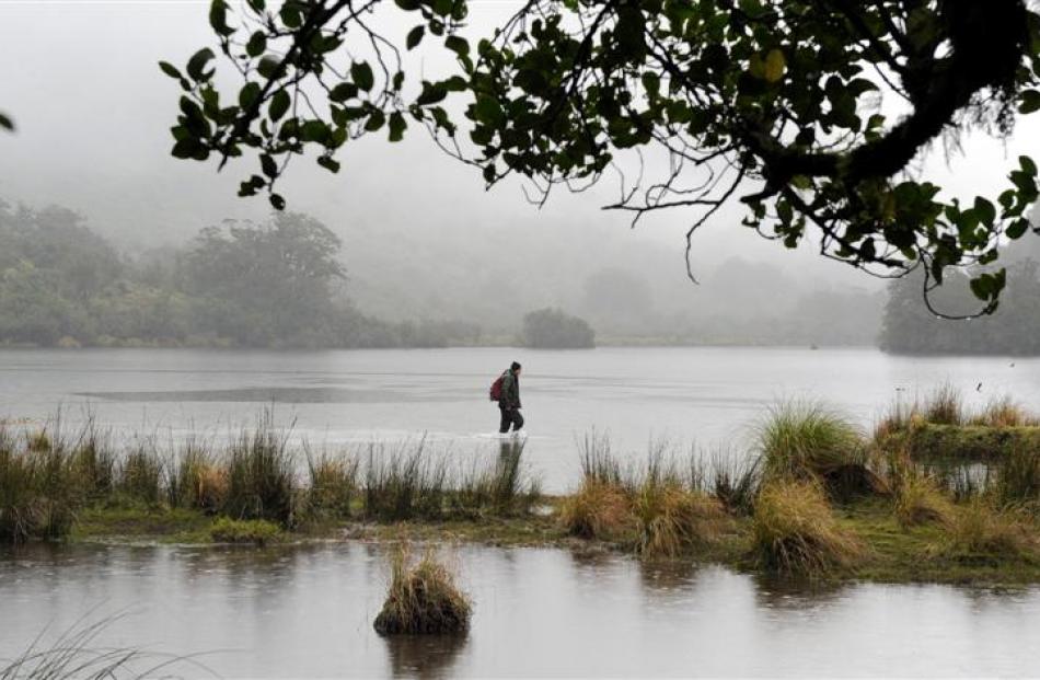 Moose hunter Ken Tustin wades through the lake on lower Herrick Creek in Fiordland, as drizzle...