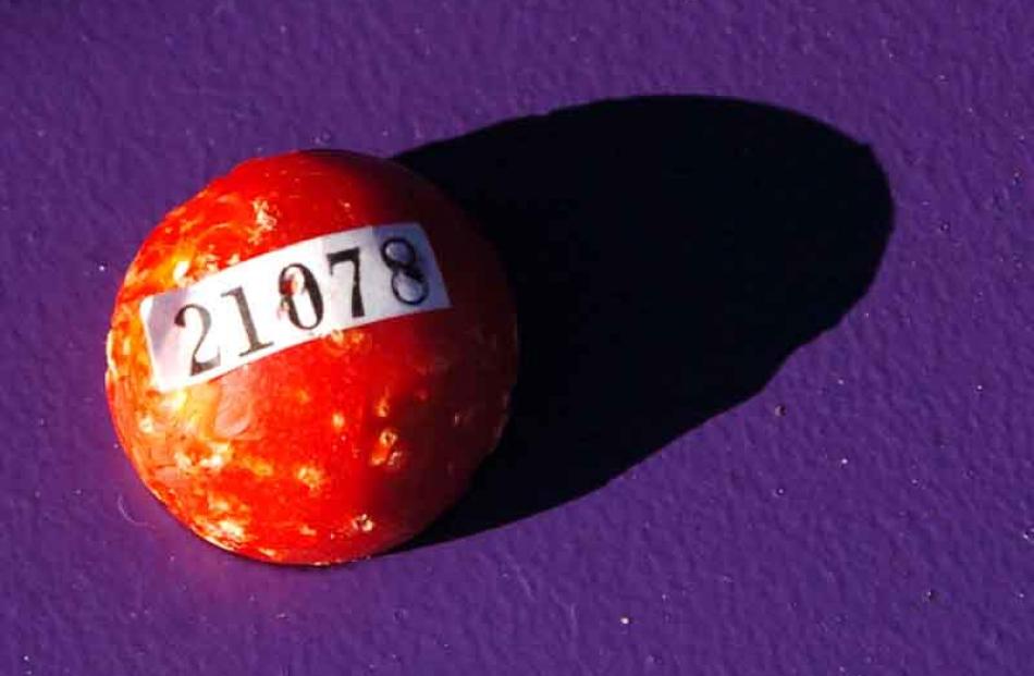 The winner of the Cadbury Jaffa race on Baldwin Street yesterday.