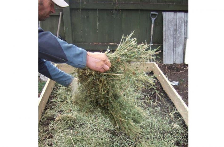 3: Cover the grass with cardboard, then fill the bed with layers of your materials. Start with a...
