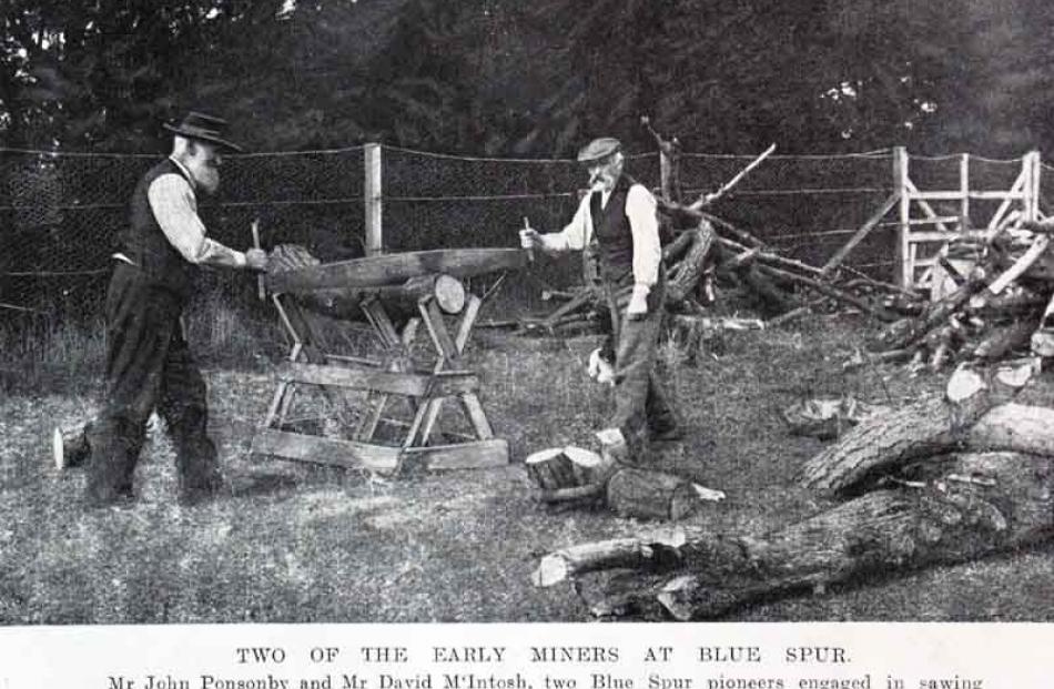 Two of the early miners of Blue Spur, Messrs John Ponsonby and David McIntosh, engaged in sawing...
