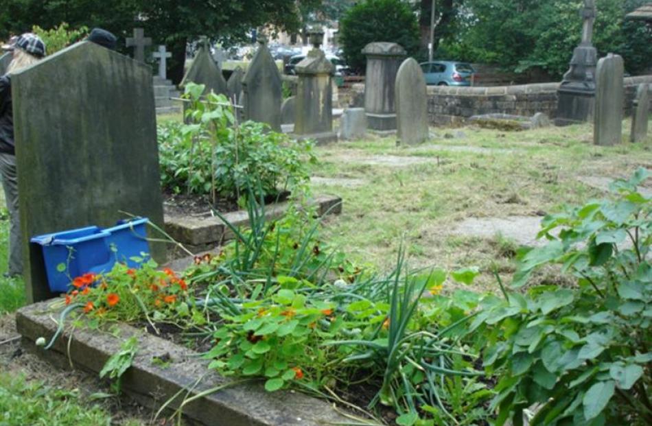 Even the Victorian cemetery in Todmorden is perfect for garden plots. Incredible Edible Todmorden...