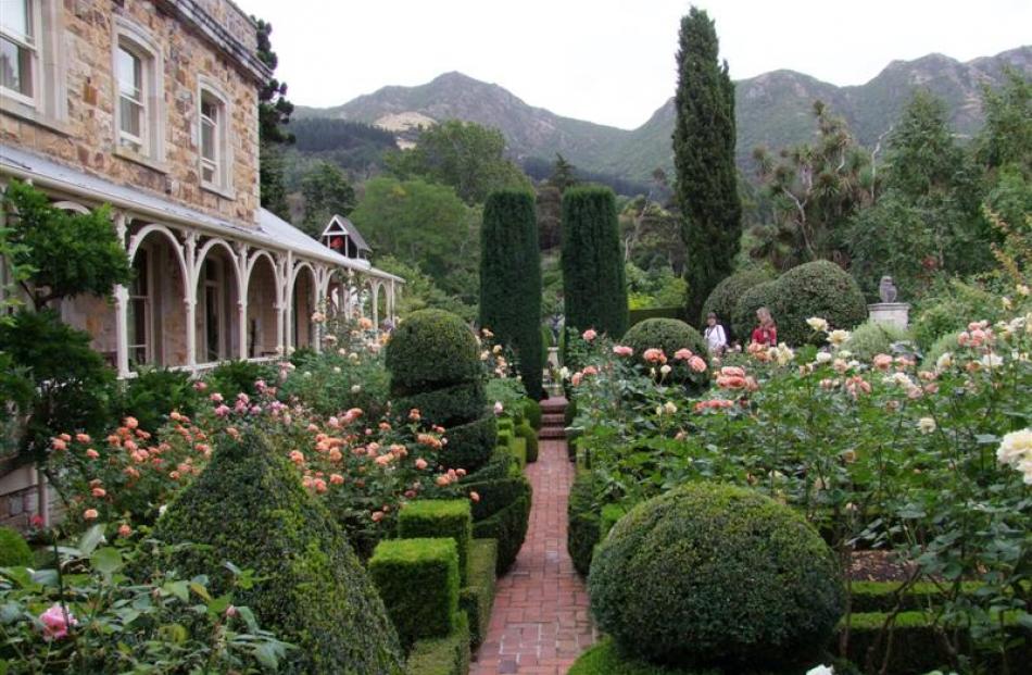Straight lines in Ohinetahi's rose garden are softened by rounded topiary shapes. The steps lead...