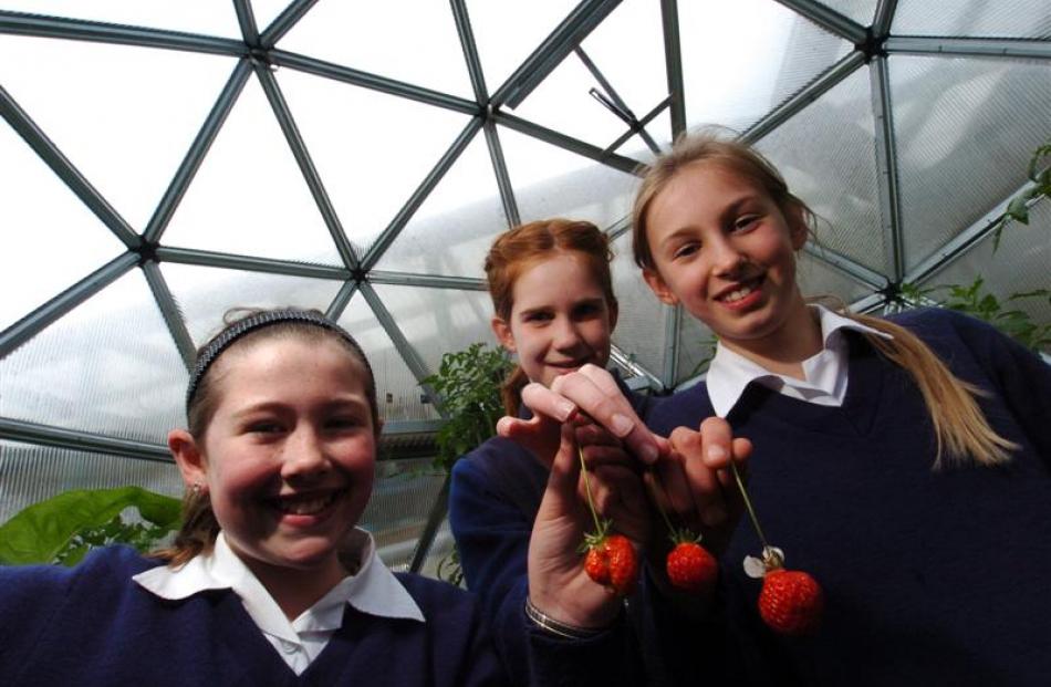 St Brigids School, Dunedin, pupils (from left), Emily Woodhouse, Rebecca McNaughton and Meg Sule ...