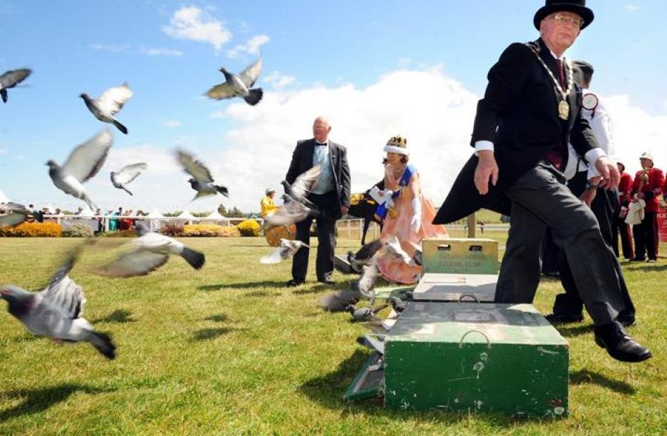 Oamaru Mayor Alex Familton releases pigeons to open Heritage week at the races.